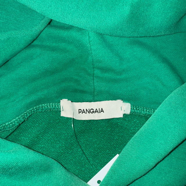 Vintage Pangia Hoodie - M