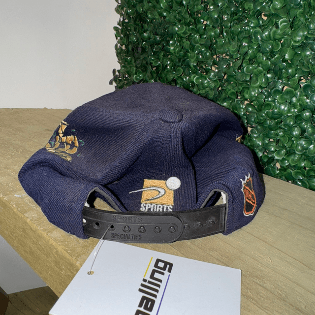 Dallas Stars NHL Cap