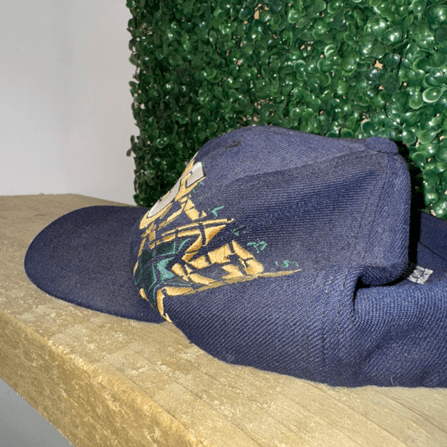 Dallas Stars NHL Cap